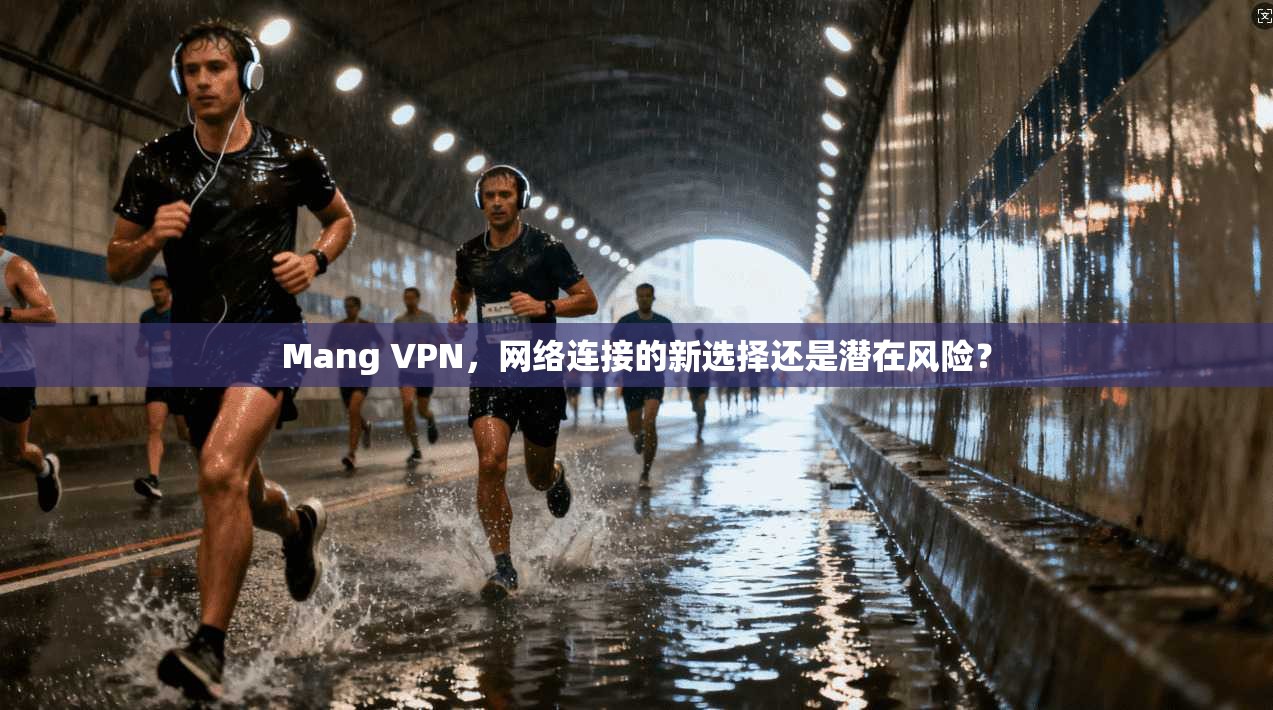 Mang VPN，网络连接的新选择还是潜在风险？
