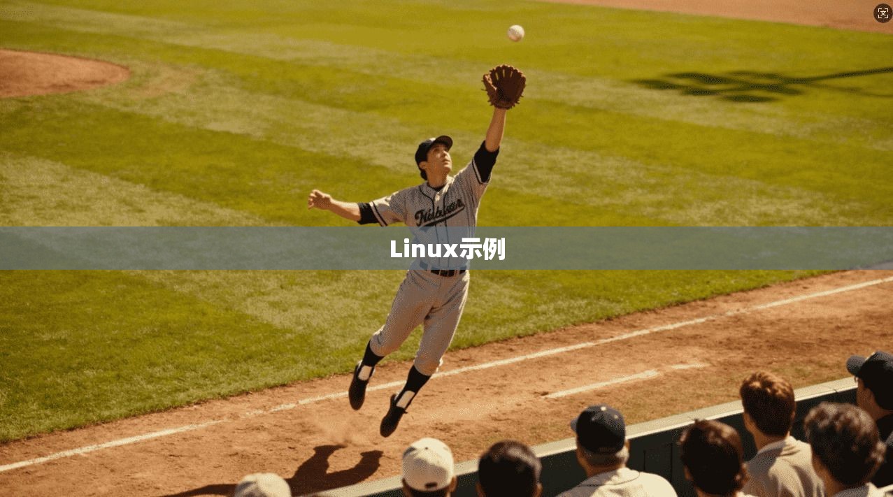 Linux示例