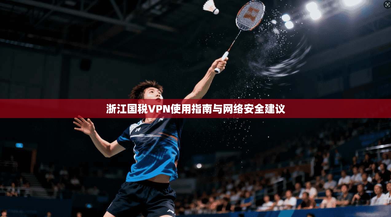 浙江国税VPN使用指南与网络安全建议