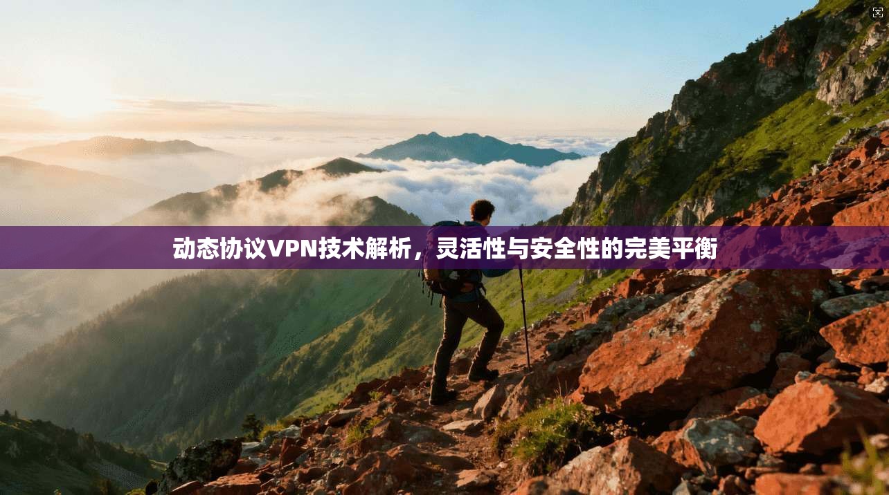 动态协议VPN技术解析，灵活性与安全性的完美平衡
