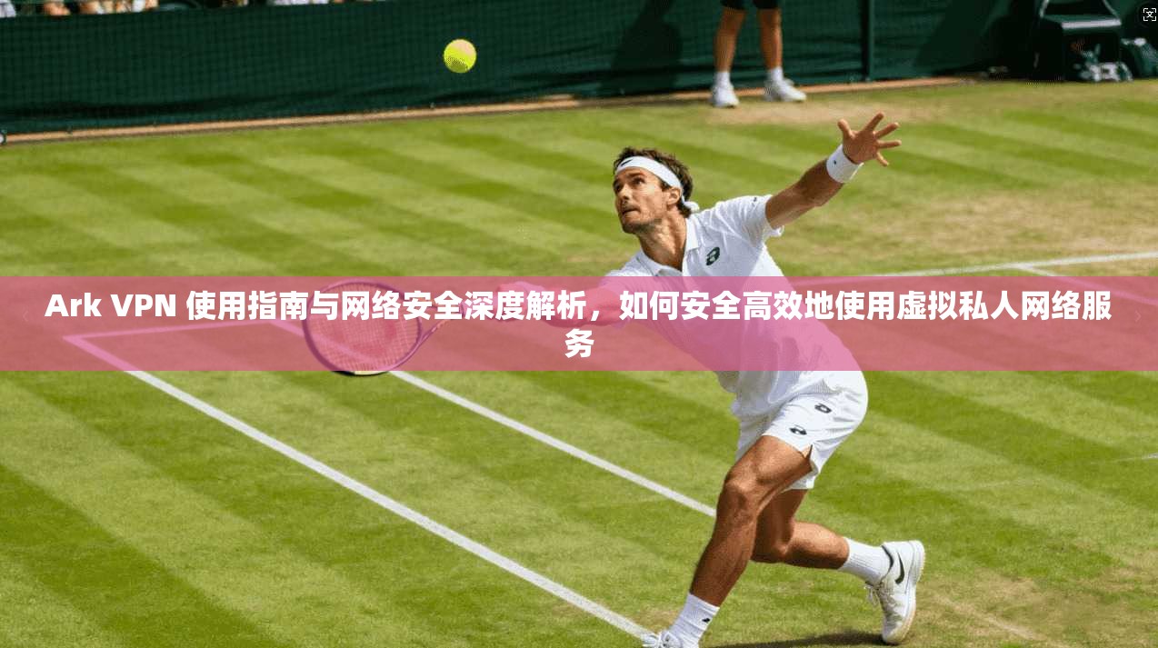 Ark VPN 使用指南与网络安全深度解析，如何安全高效地使用虚拟私人网络服务