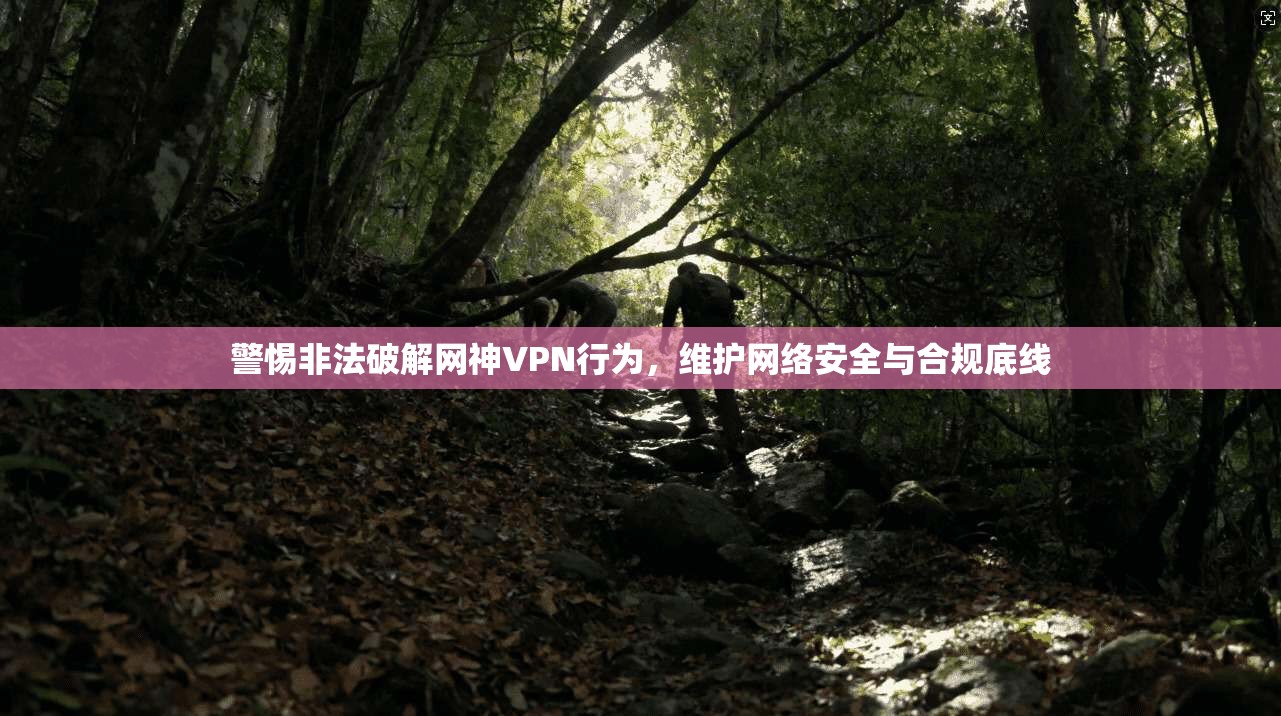 警惕非法破解网神VPN行为，维护网络安全与合规底线