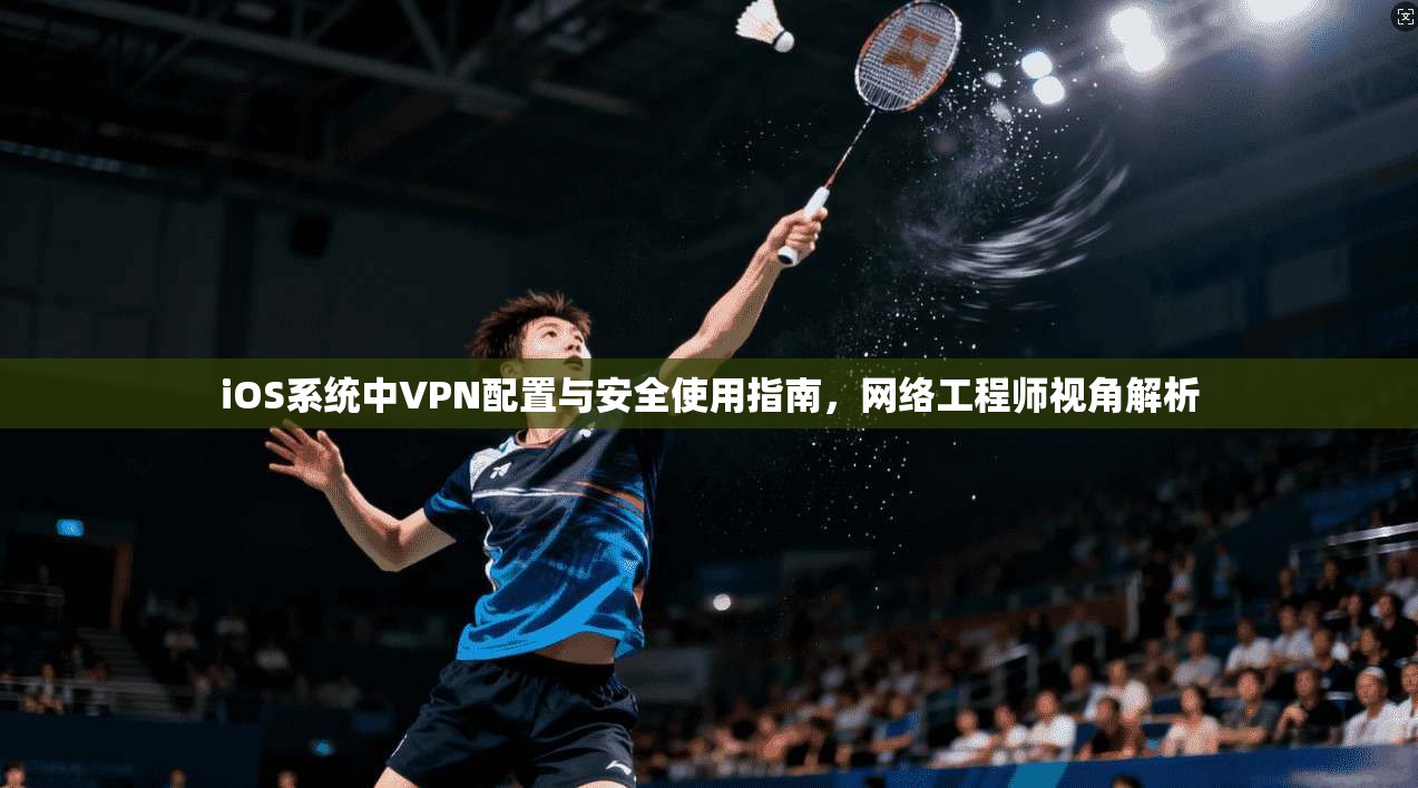 iOS系统中VPN配置与安全使用指南，网络工程师视角解析