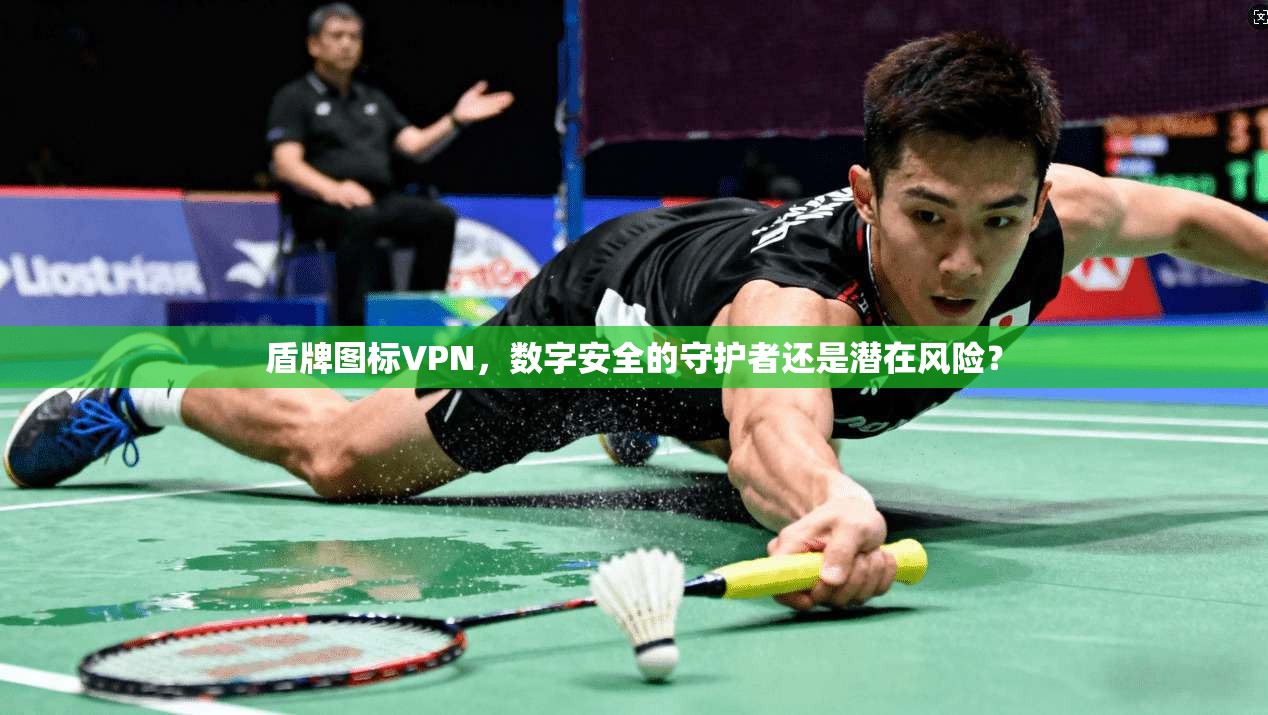 盾牌图标VPN，数字安全的守护者还是潜在风险？