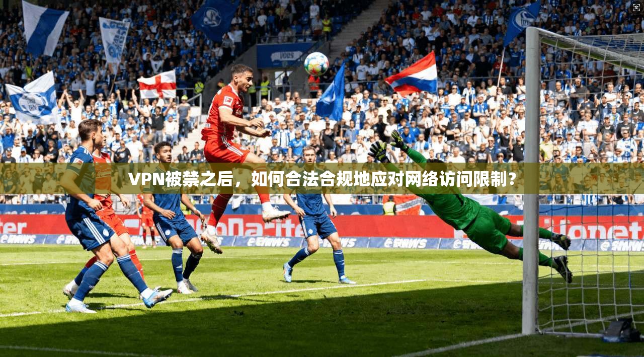VPN被禁之后，如何合法合规地应对网络访问限制？