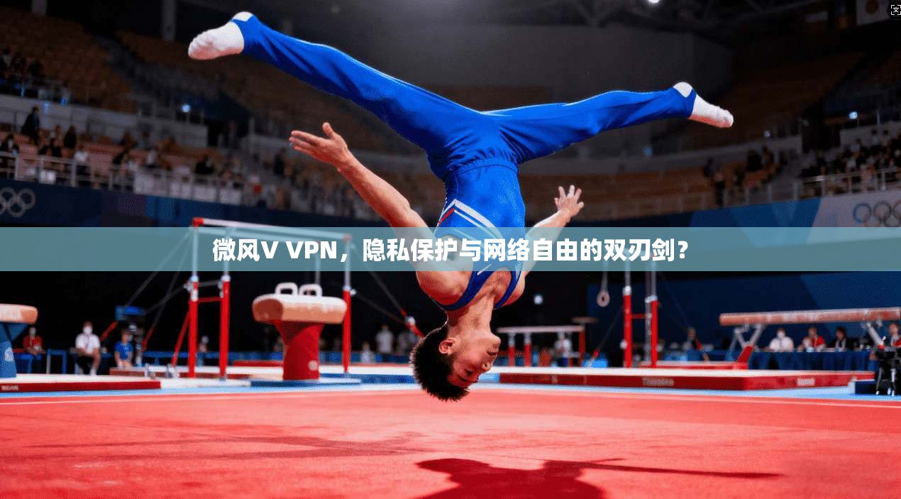 微风V VPN，隐私保护与网络自由的双刃剑？