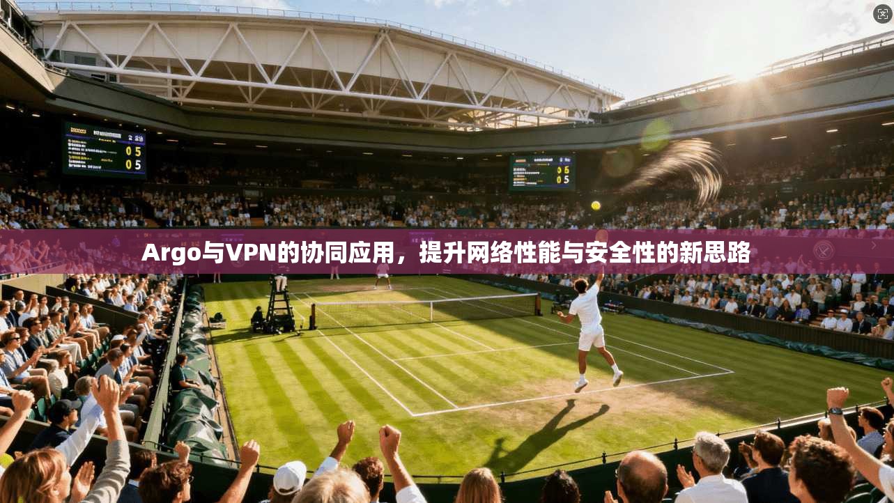 Argo与VPN的协同应用，提升网络性能与安全性的新思路
