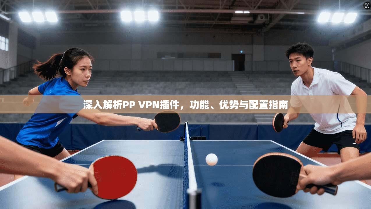 深入解析PP VPN插件，功能、优势与配置指南