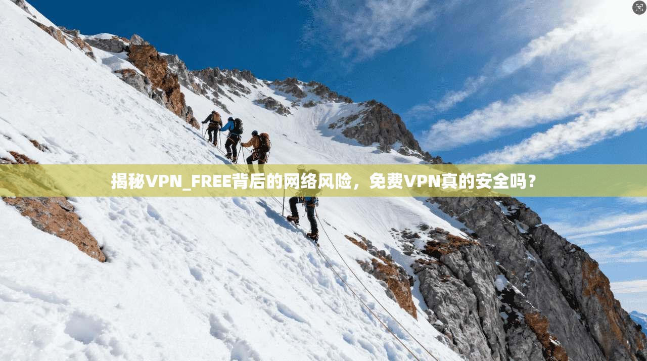 揭秘VPN_FREE背后的网络风险，免费VPN真的安全吗？