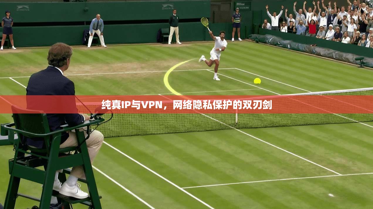 纯真IP与VPN，网络隐私保护的双刃剑
