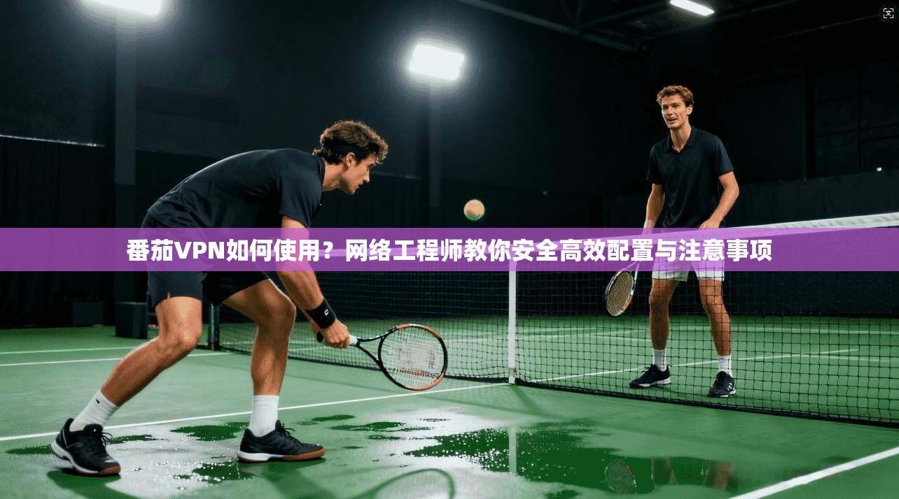 番茄VPN如何使用？网络工程师教你安全高效配置与注意事项