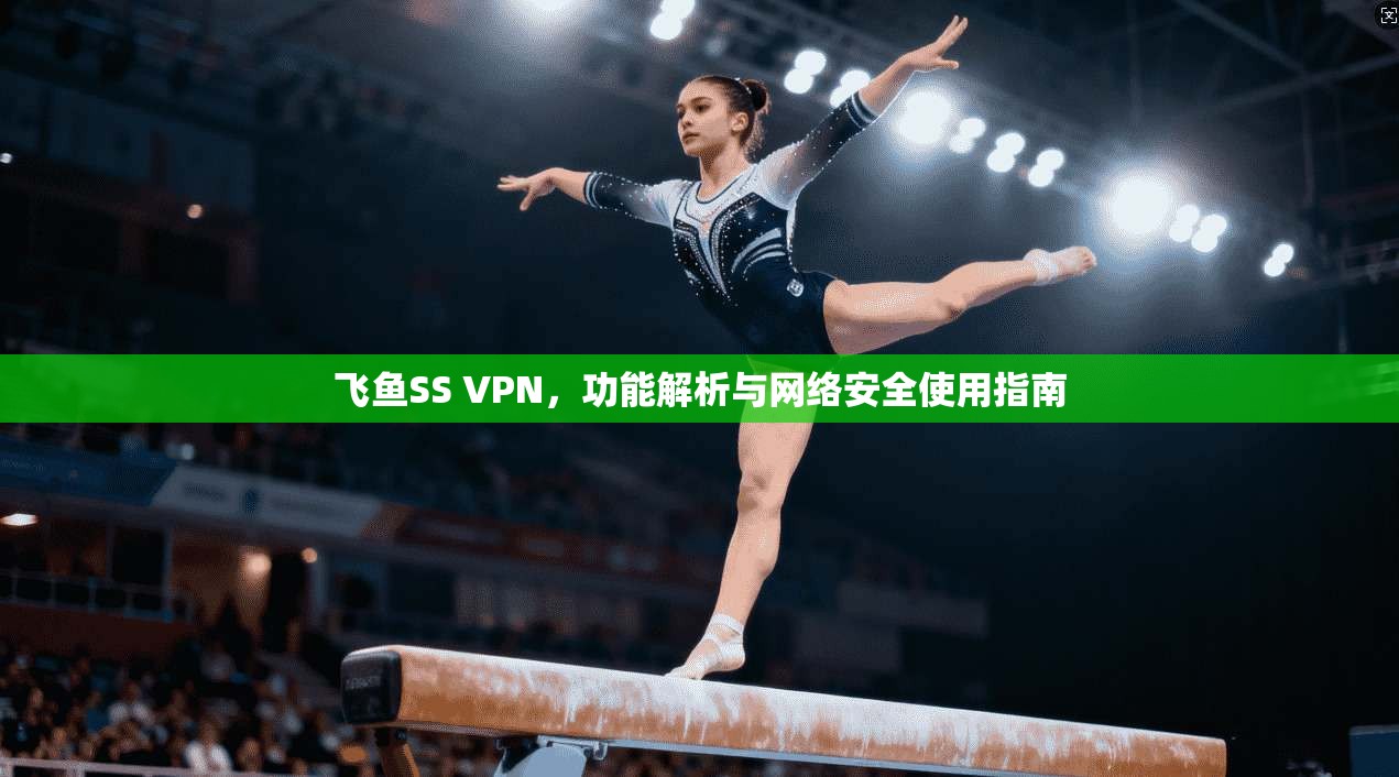 飞鱼SS VPN，功能解析与网络安全使用指南