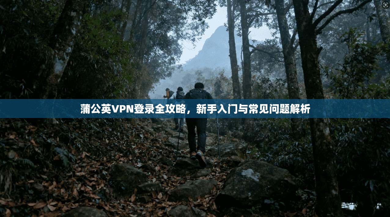 蒲公英VPN登录全攻略，新手入门与常见问题解析