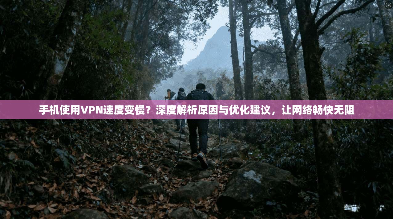 手机使用VPN速度变慢?深度解析原因与优化建议,让网络畅快无阻