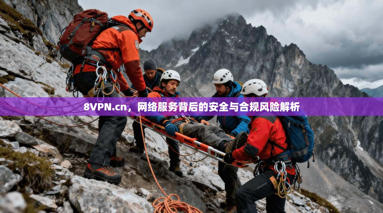 8VPN.cn，网络服务背后的安全与合规风险解析