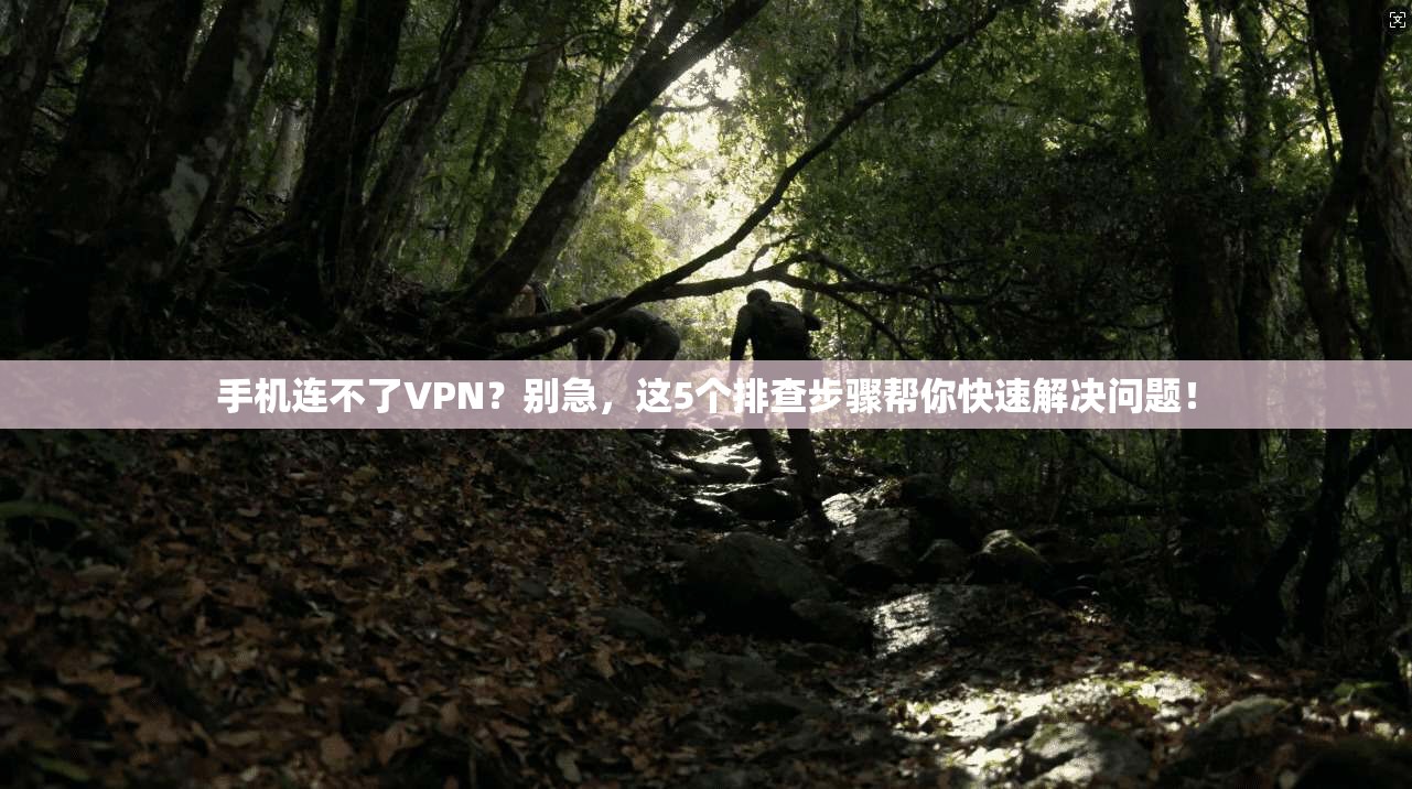 手机连不了VPN？别急，这5个排查步骤帮你快速解决问题！