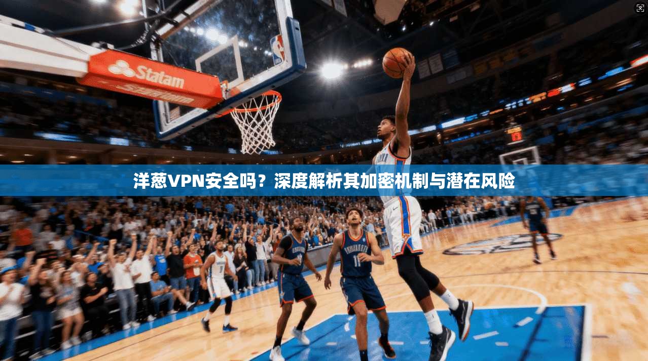 洋葱VPN安全吗？深度解析其加密机制与潜在风险