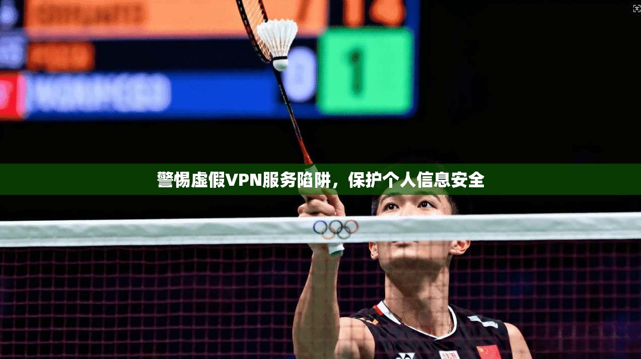 警惕虚假VPN服务陷阱,保护个人信息安全