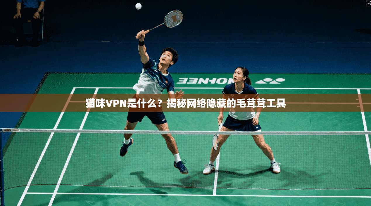 猫咪VPN是什么?揭秘网络隐藏的毛茸茸工具