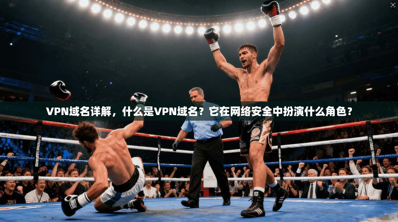 VPN域名详解，什么是VPN域名？它在网络安全中扮演什么角色？