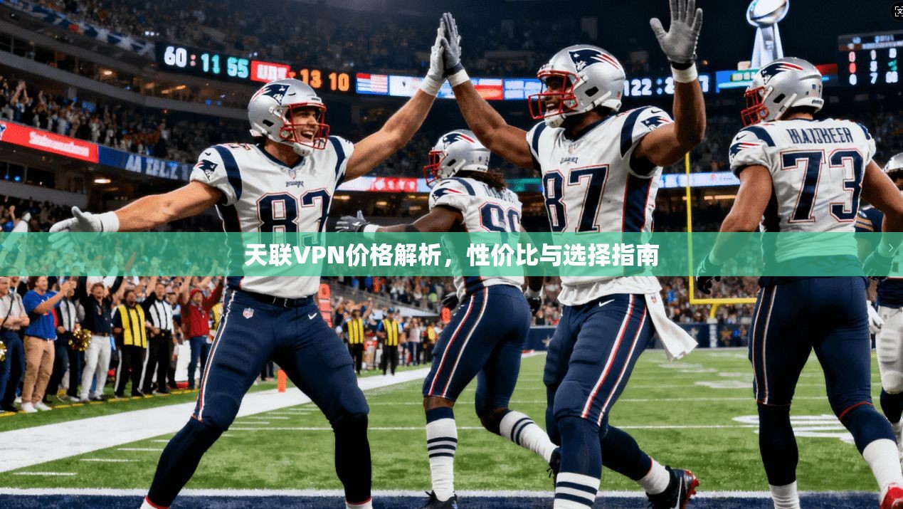 天联VPN价格解析，性价比与选择指南