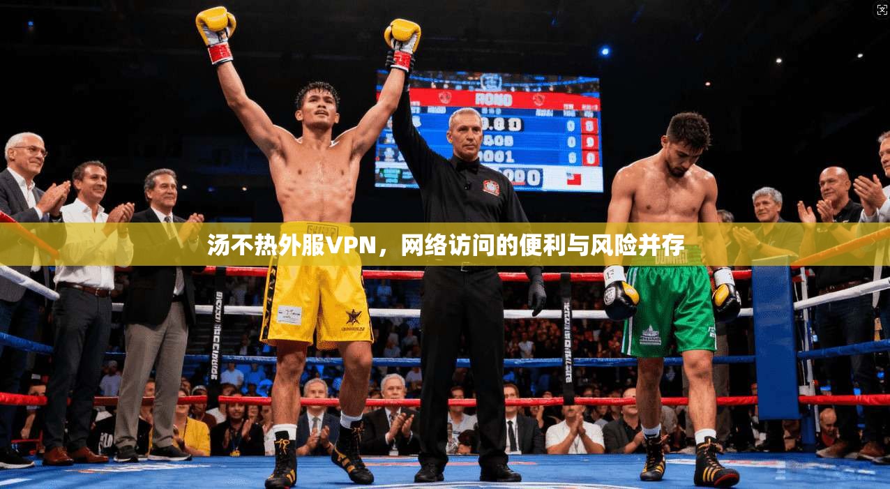 汤不热外服VPN,网络访问的便利与风险并存