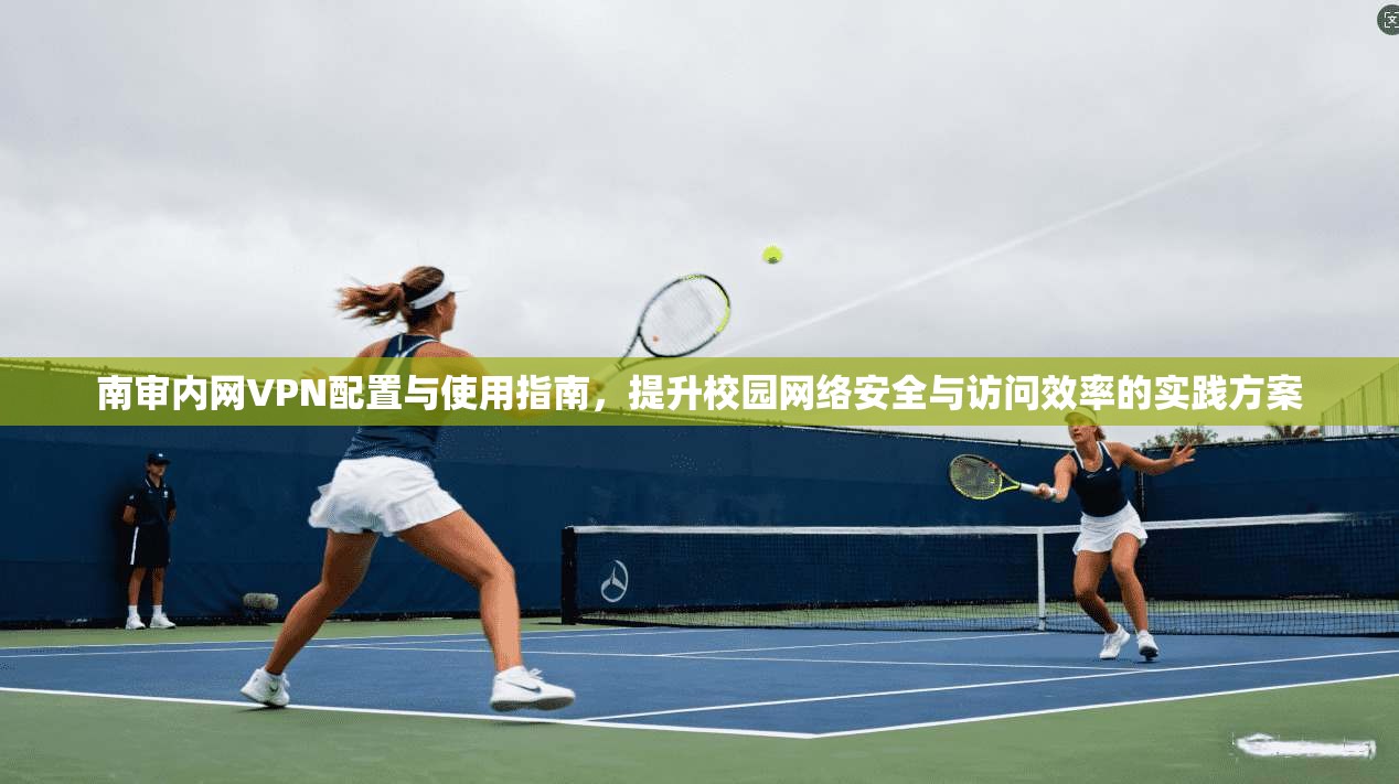 南审内网VPN配置与使用指南，提升校园网络安全与访问效率的实践方案