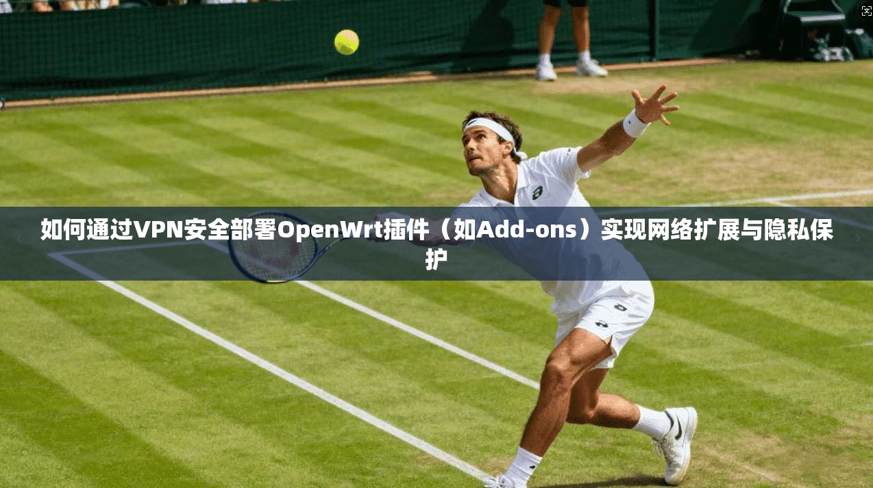 如何通过VPN安全部署OpenWrt插件（如Add-ons）实现网络扩展与隐私保护