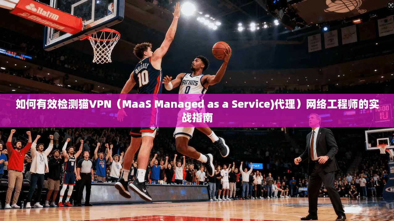 如何有效检测猫VPN（MaaS Managed as a Service)代理）网络工程师的实战指南