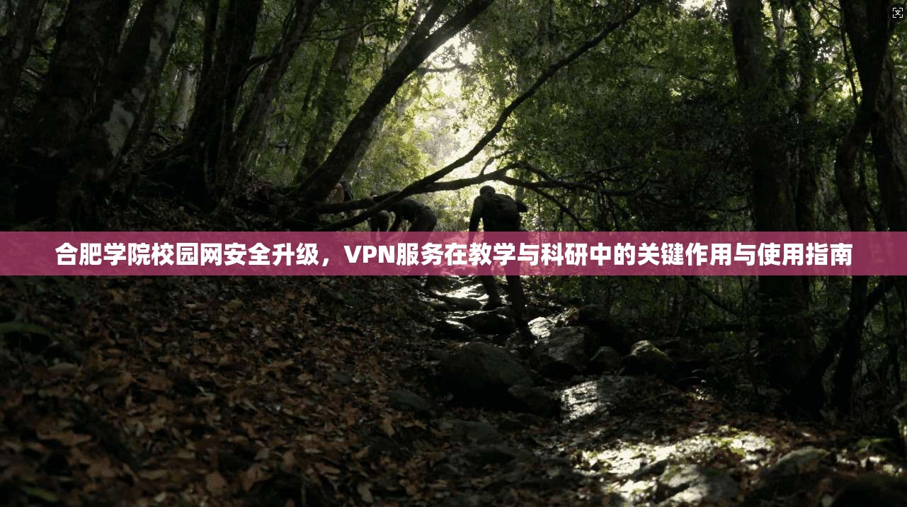 合肥学院校园网安全升级,VPN服务在教学与科研中的关键作用与使用指南