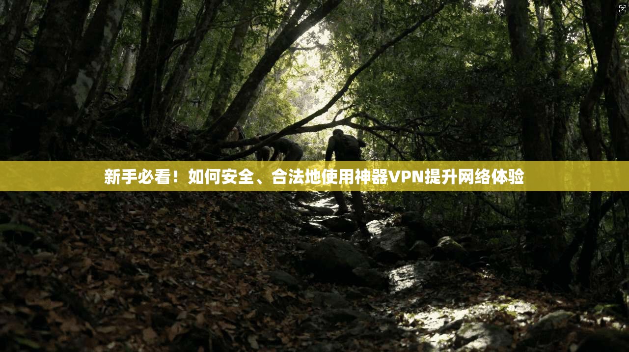 新手必看！如何安全、合法地使用神器VPN提升网络体验
