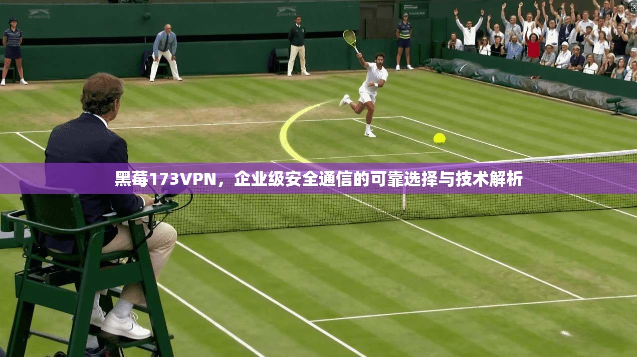 黑莓173VPN,企业级安全通信的可靠选择与技术解析