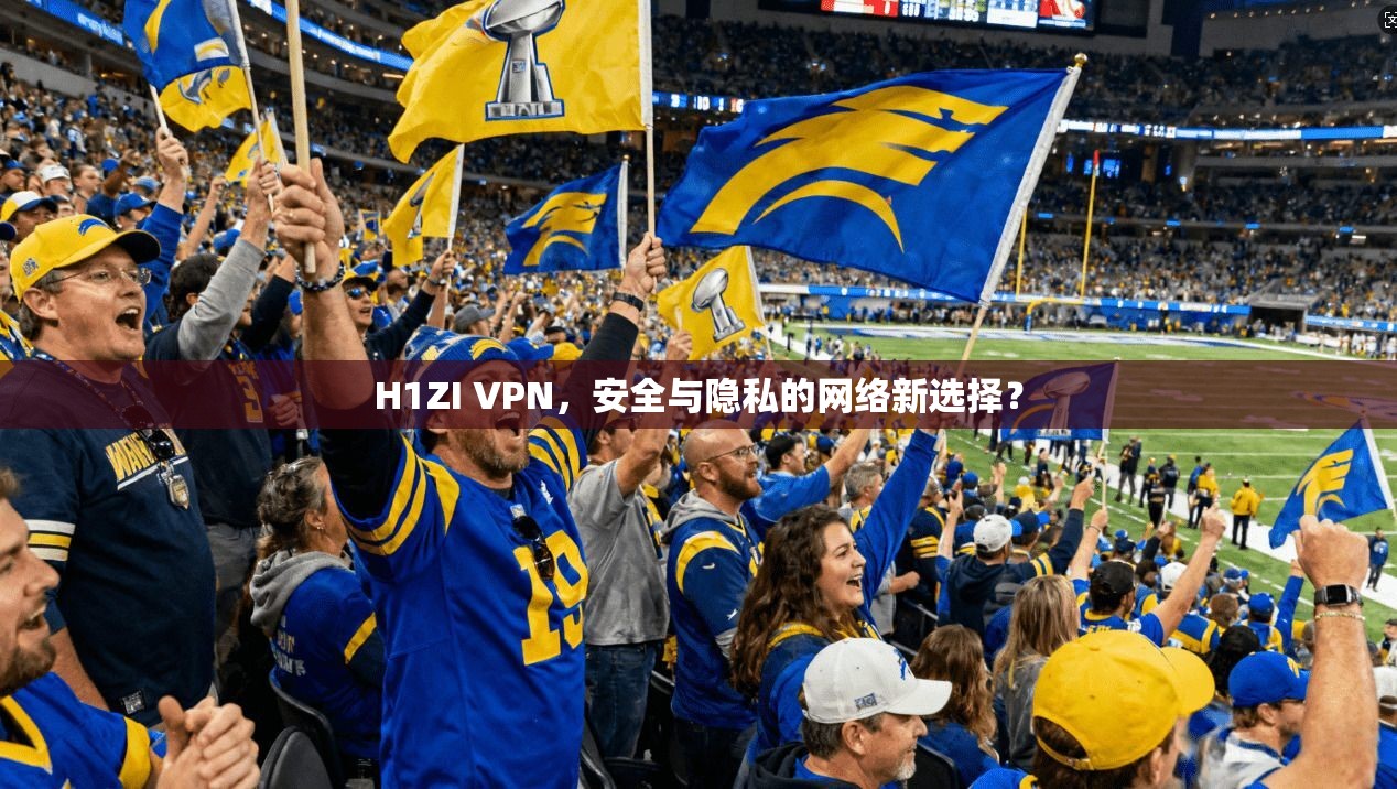 H1ZI VPN，安全与隐私的网络新选择？