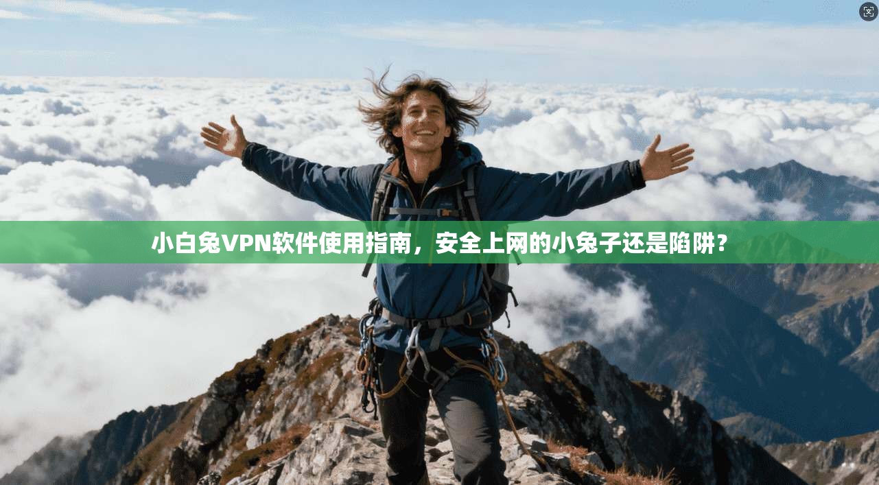 小白兔VPN软件使用指南，安全上网的小兔子还是陷阱？