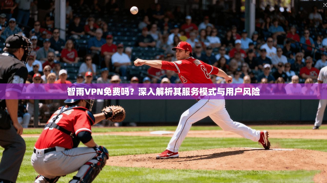 智雨VPN免费吗？深入解析其服务模式与用户风险