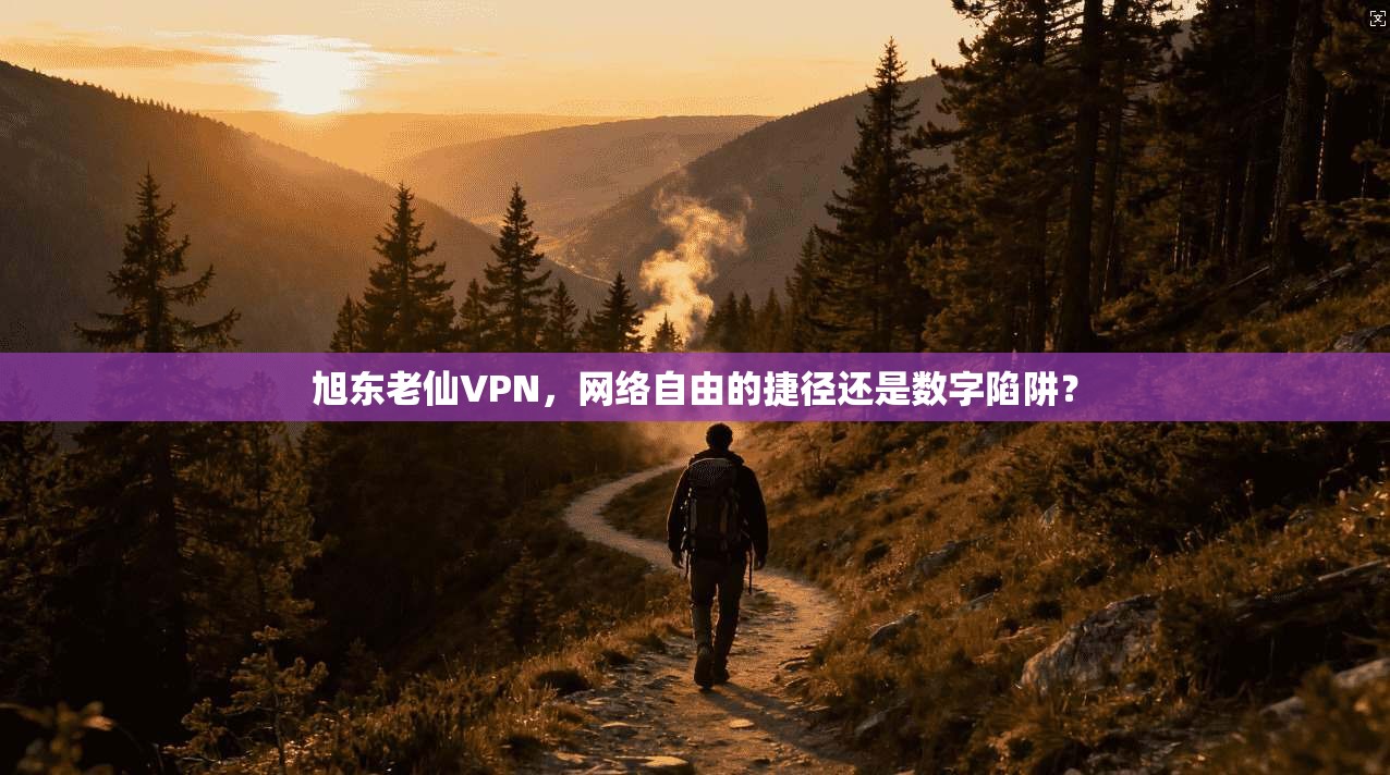 旭东老仙VPN,网络自由的捷径还是数字陷阱?