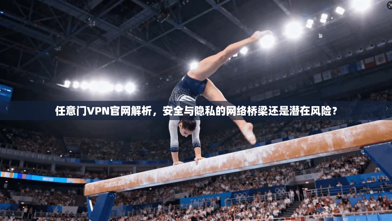 任意门VPN官网解析，安全与隐私的网络桥梁还是潜在风险？