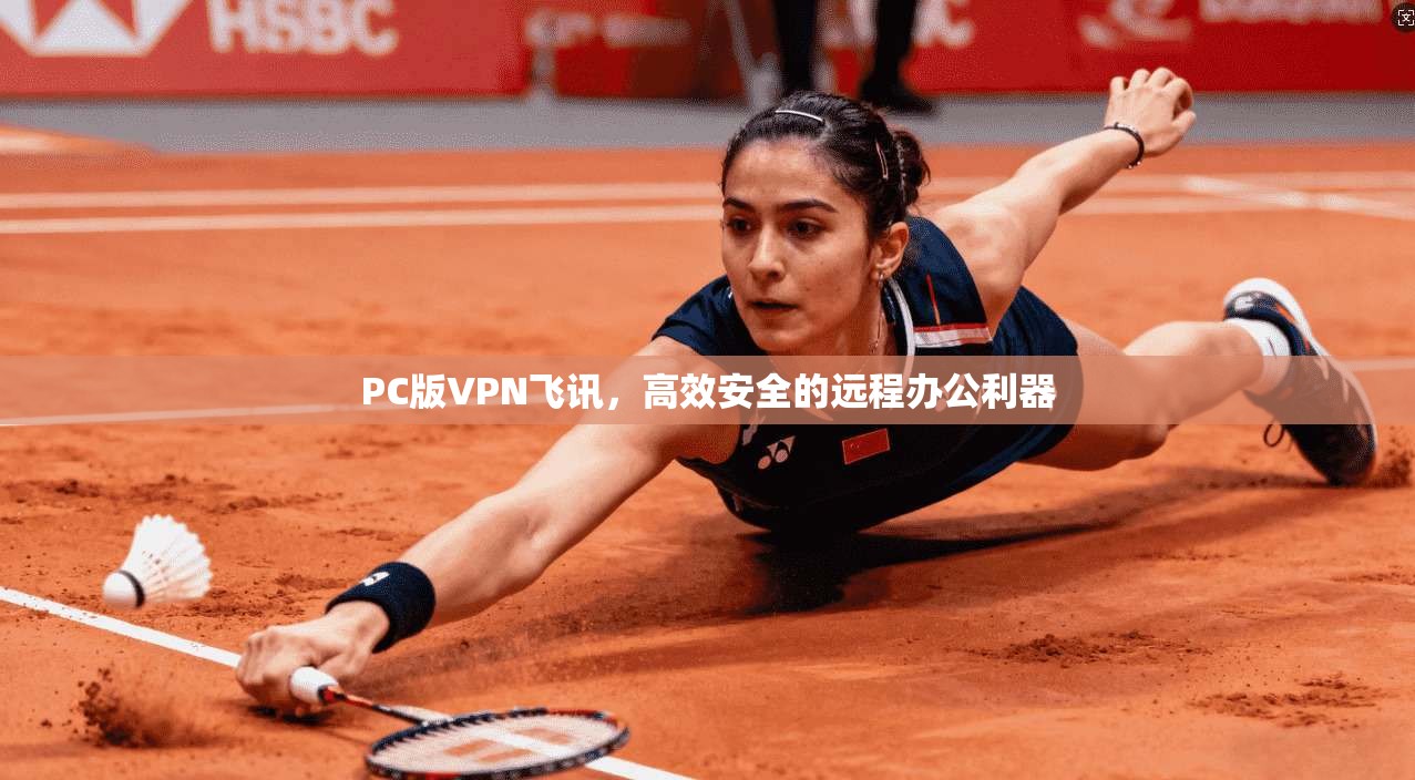 PC版VPN飞讯,高效安全的远程办公利器