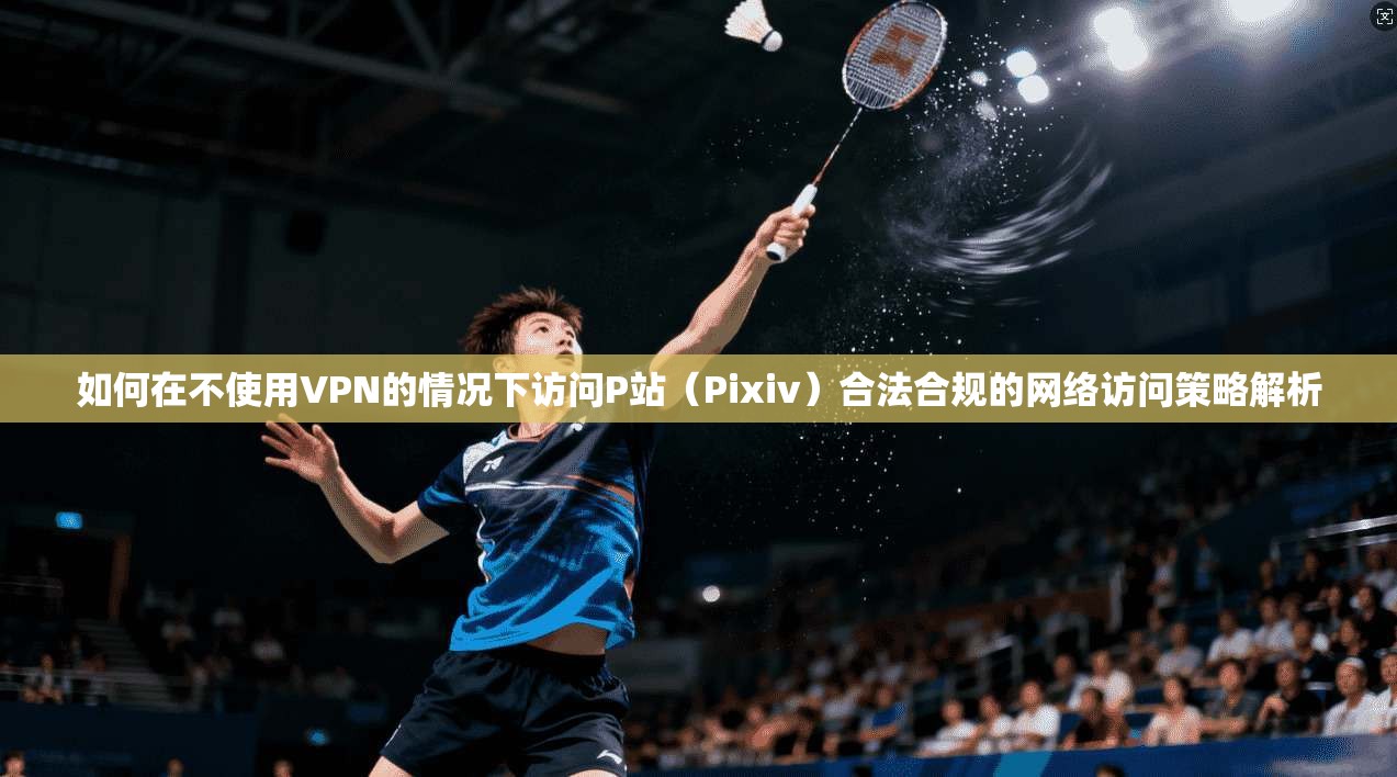 如何在不使用VPN的情况下访问P站（Pixiv）合法合规的网络访问策略解析