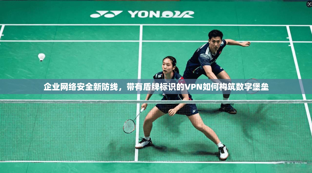 企业网络安全新防线,带有盾牌标识的VPN如何构筑数字堡垒