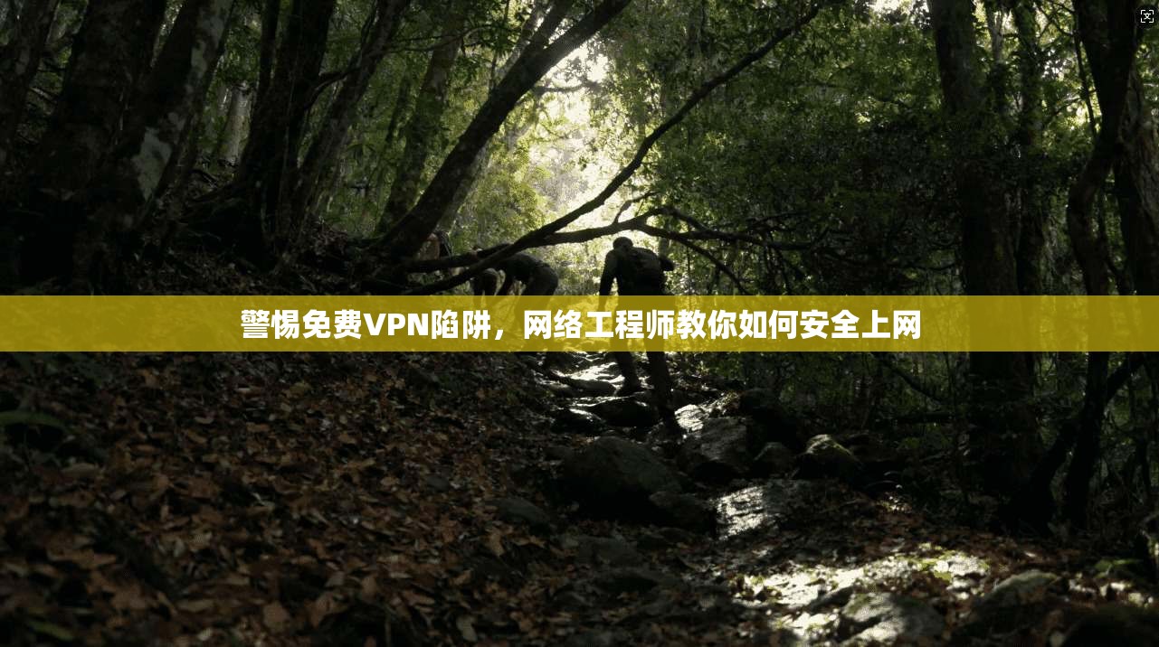 警惕免费VPN陷阱,网络工程师教你如何安全上网
