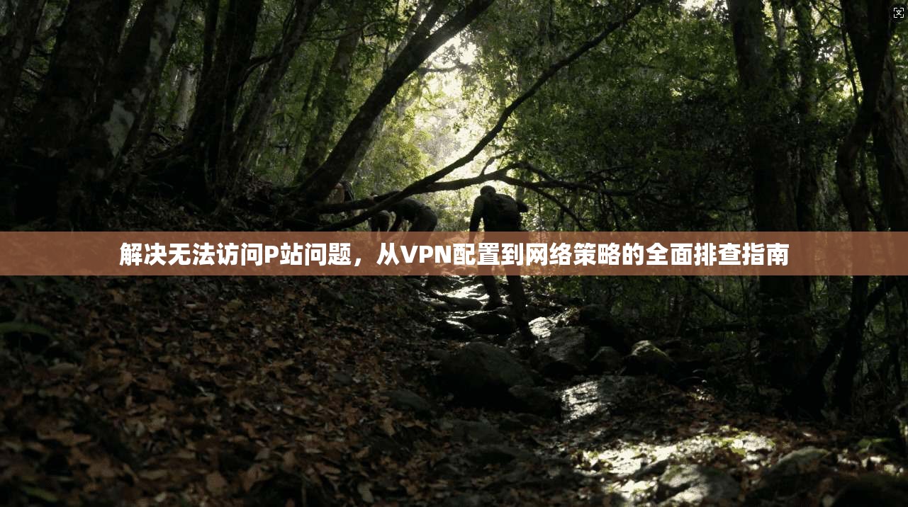 解决无法访问P站问题，从VPN配置到网络策略的全面排查指南