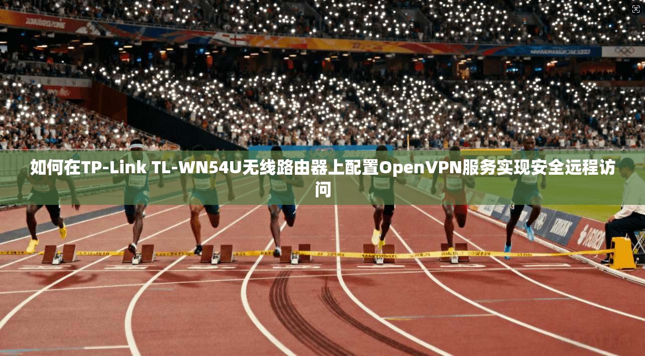 如何在TP-Link TL-WN54U无线路由器上配置OpenVPN服务实现安全远程访问
