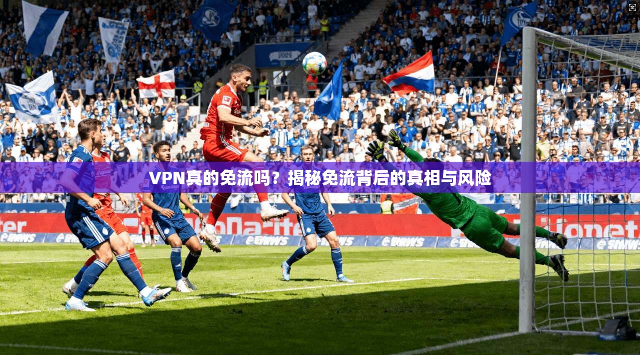 VPN真的免流吗？揭秘免流背后的真相与风险