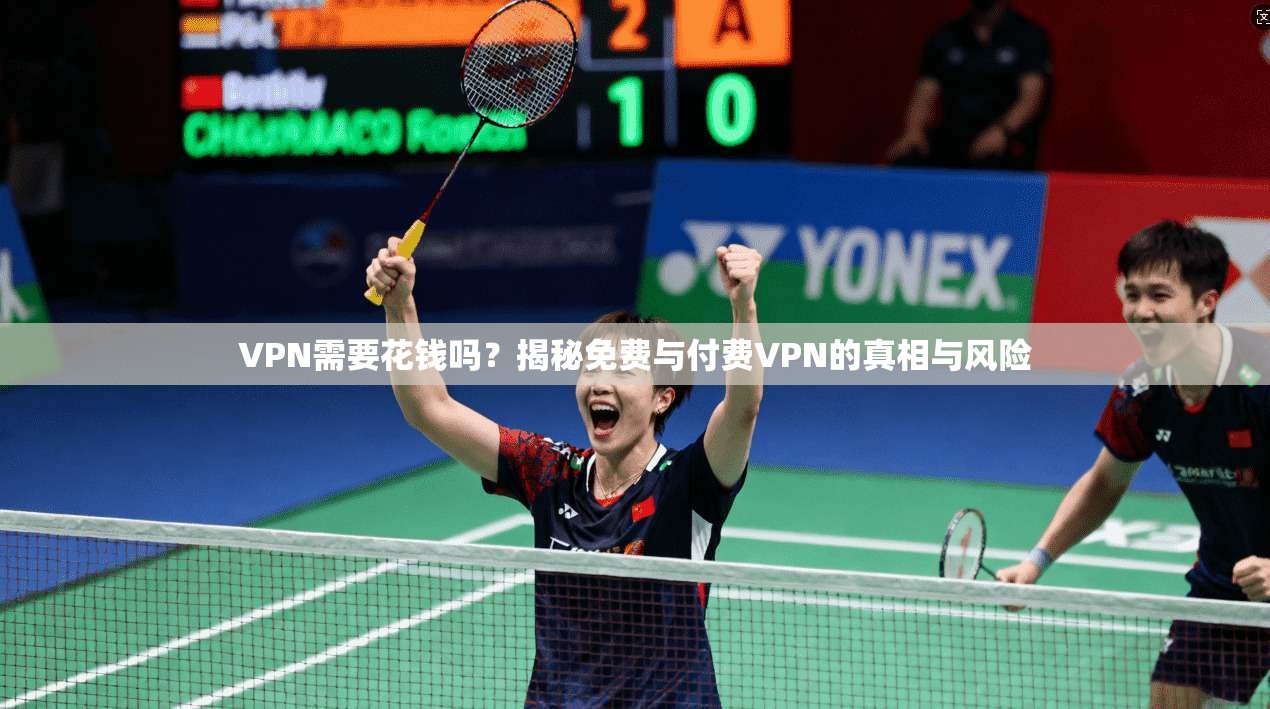 VPN需要花钱吗?揭秘免费与付费VPN的真相与风险