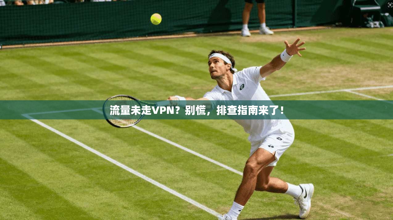 流量未走VPN？别慌，排查指南来了！