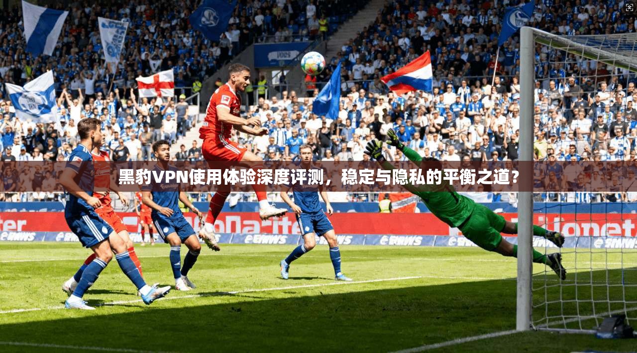 黑豹VPN使用体验深度评测，稳定与隐私的平衡之道？