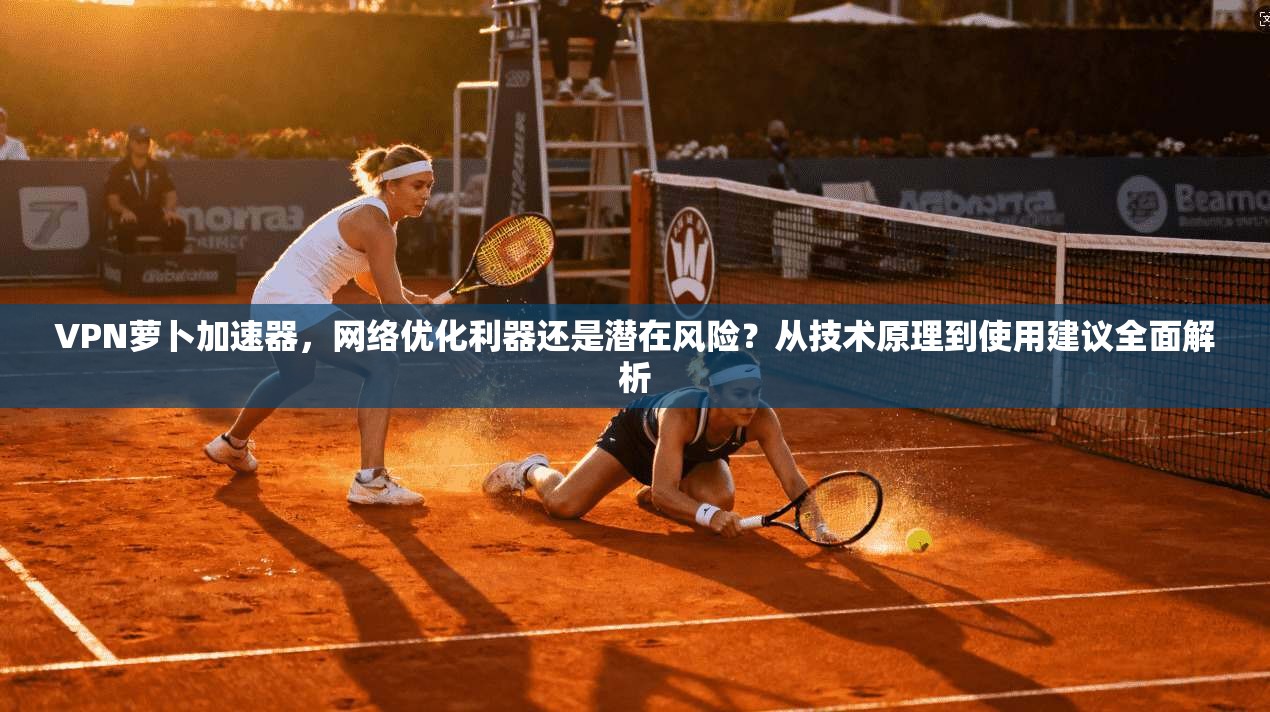 VPN萝卜加速器,网络优化利器还是潜在风险?从技术原理到使用建议全面解析