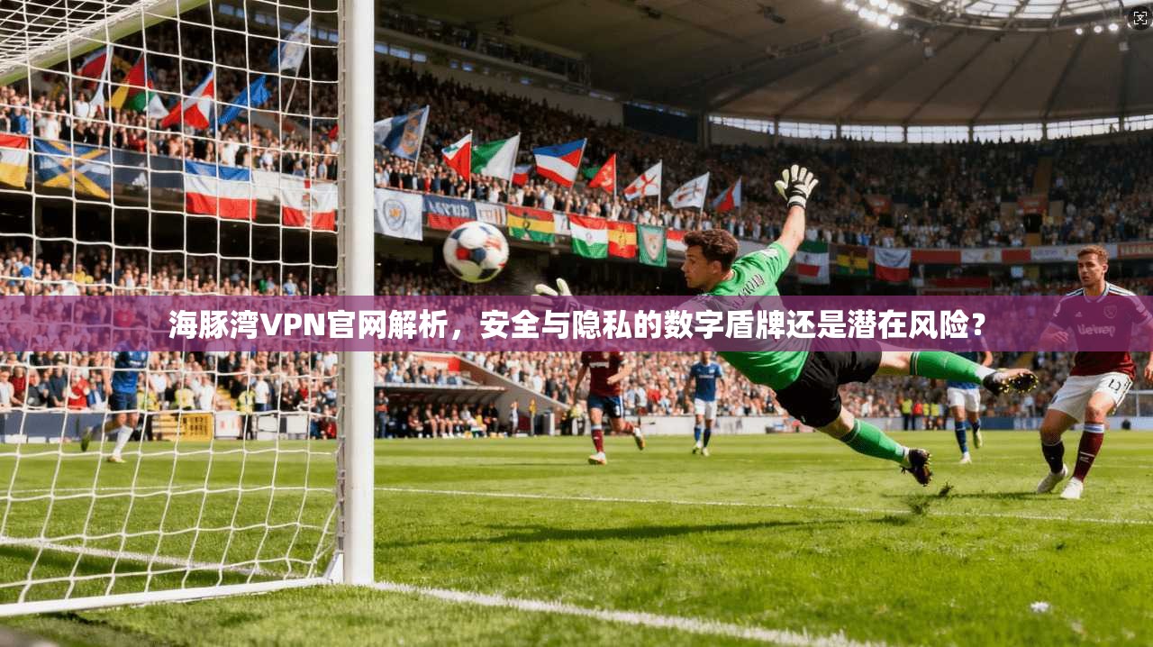 海豚湾VPN官网解析，安全与隐私的数字盾牌还是潜在风险？