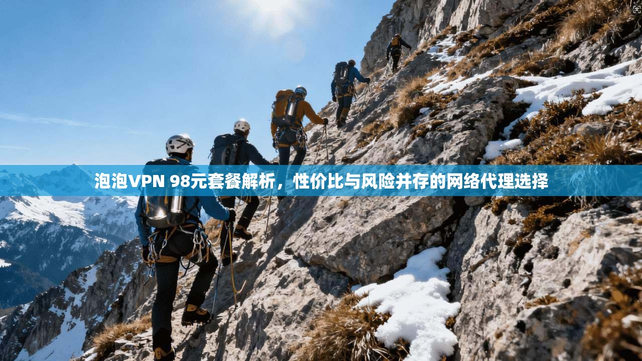 泡泡VPN 98元套餐解析,性价比与风险并存的网络代理选择